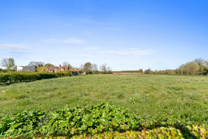 Photo 30- click for photo gallery